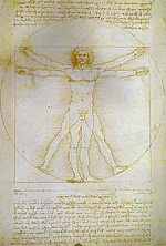 proportions of the human figure da vinci