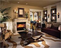 Living Room and Fireplace Design
